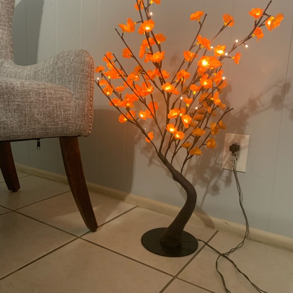 Lamps - Picture 6 of 9